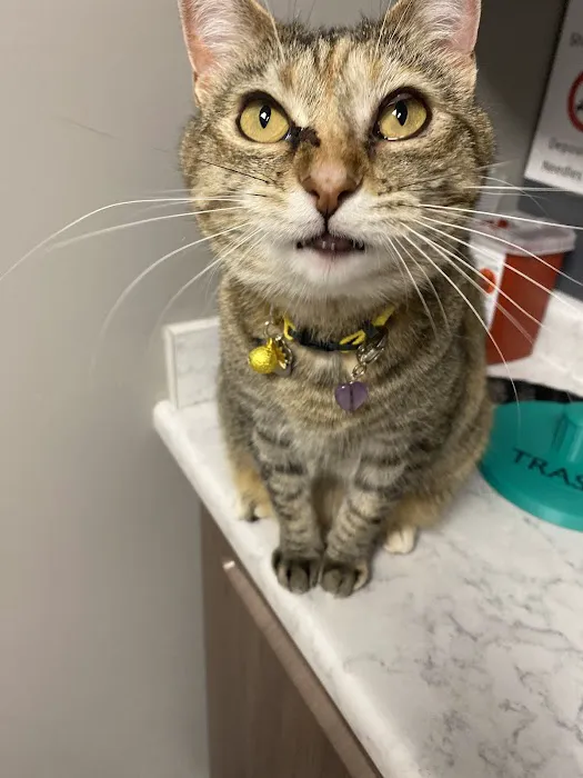 Pet Medical Center Picture 1