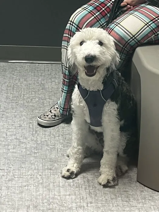 Pet Medical Center Picture 10