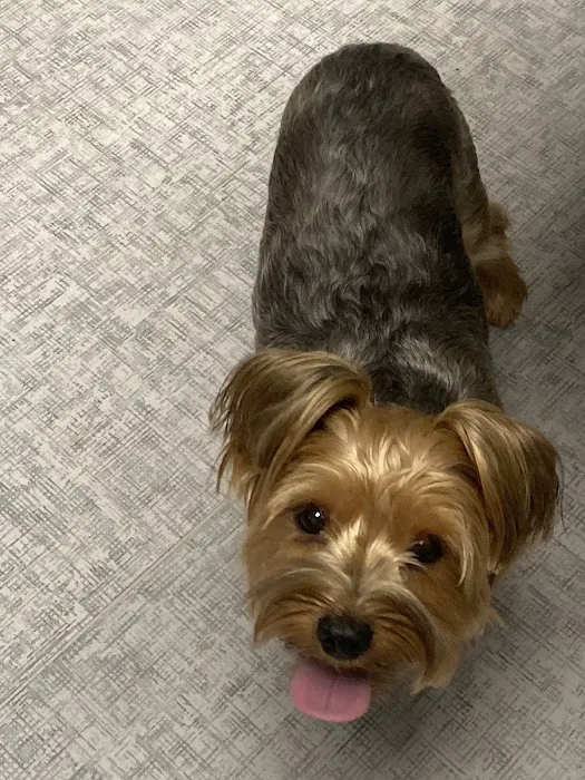 Pet Medical Center Picture 7