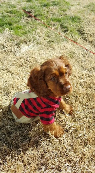 Lloyd Veterinary Medical Center Picture 2