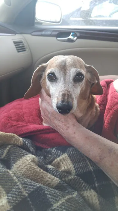 Lloyd Veterinary Medical Center Picture 6