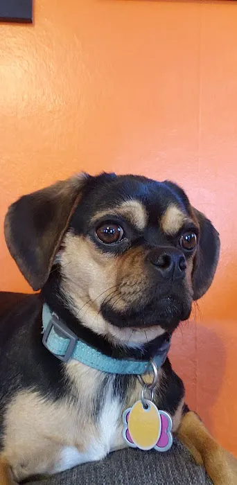 Lloyd Veterinary Medical Center Picture 4