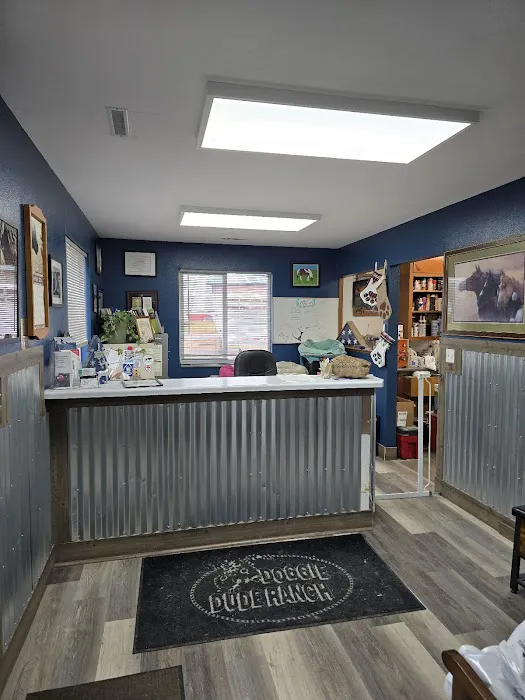 Doggie Dude Ranch Picture 5