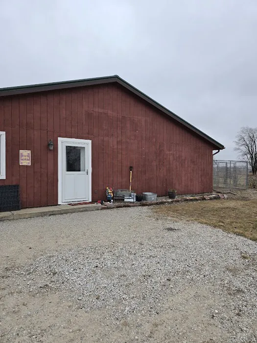 Doggie Dude Ranch Picture 10