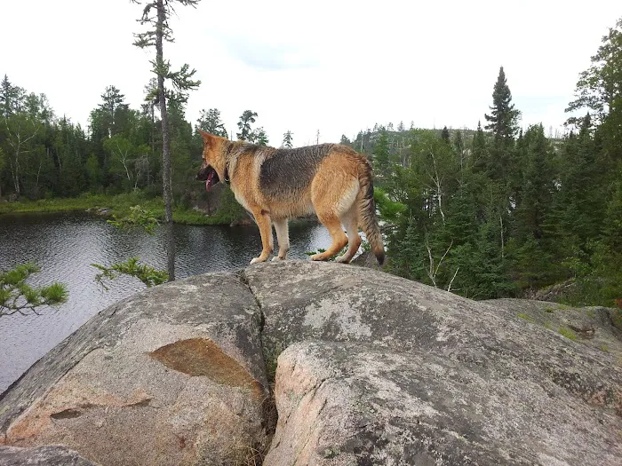 Webster City Veterinary Clinic Picture 2