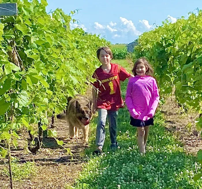 Webster City Veterinary Clinic Picture 5