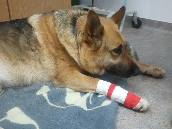 Webster City Veterinary Clinic Picture 4