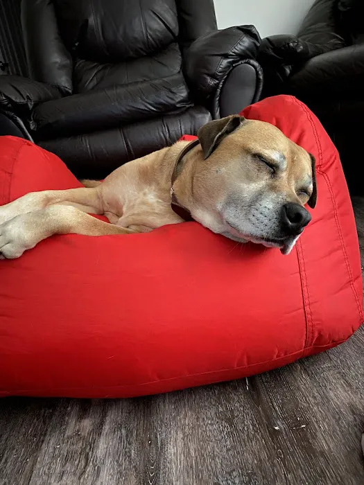 Webster City Veterinary Clinic Picture 6