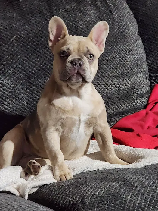 Webster City Veterinary Clinic Picture 7