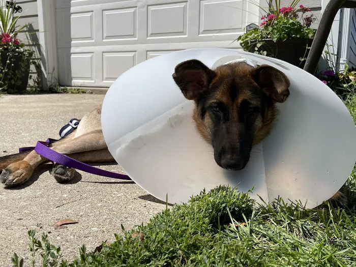 ISU Small Animal Hospital Picture 1