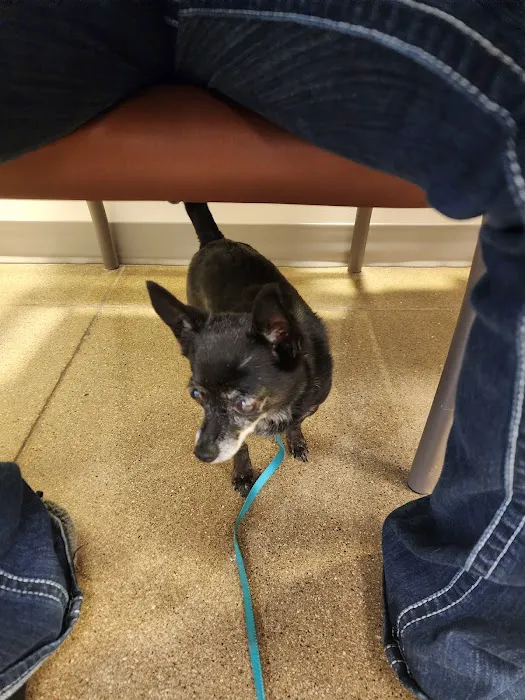 ISU Small Animal Hospital Picture 3