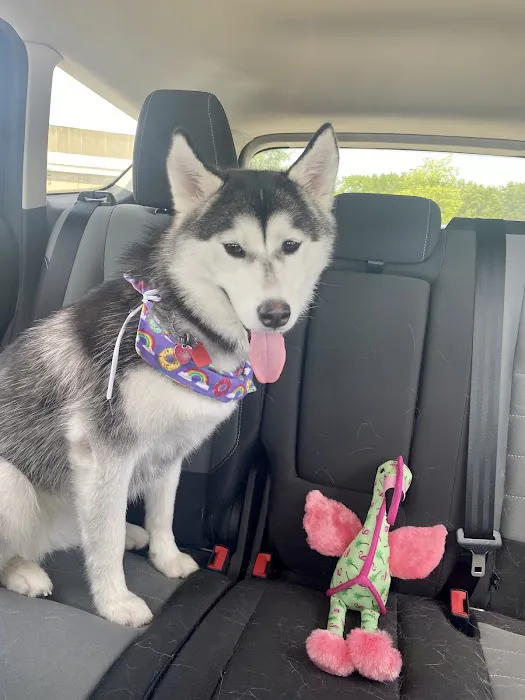 ISU Small Animal Hospital Picture 7