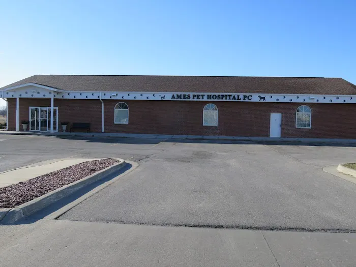 Ames Pet Hospital Picture 4
