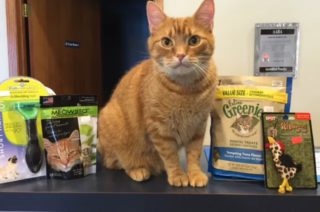 Ames Pet Hospital Picture 7