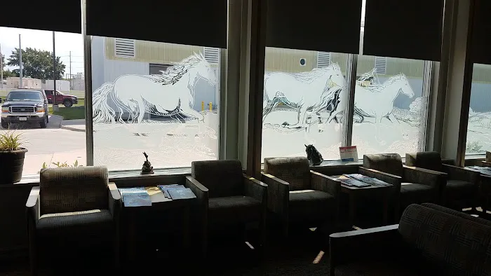 Large Animal Hospital Picture 3