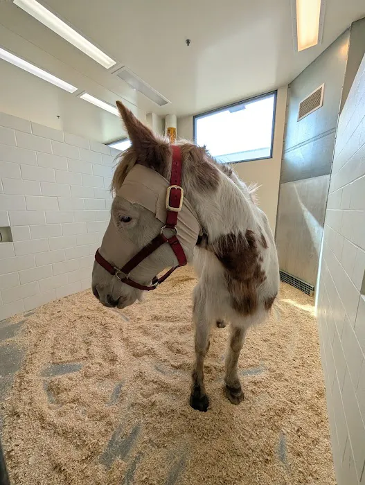 Large Animal Hospital Picture 2