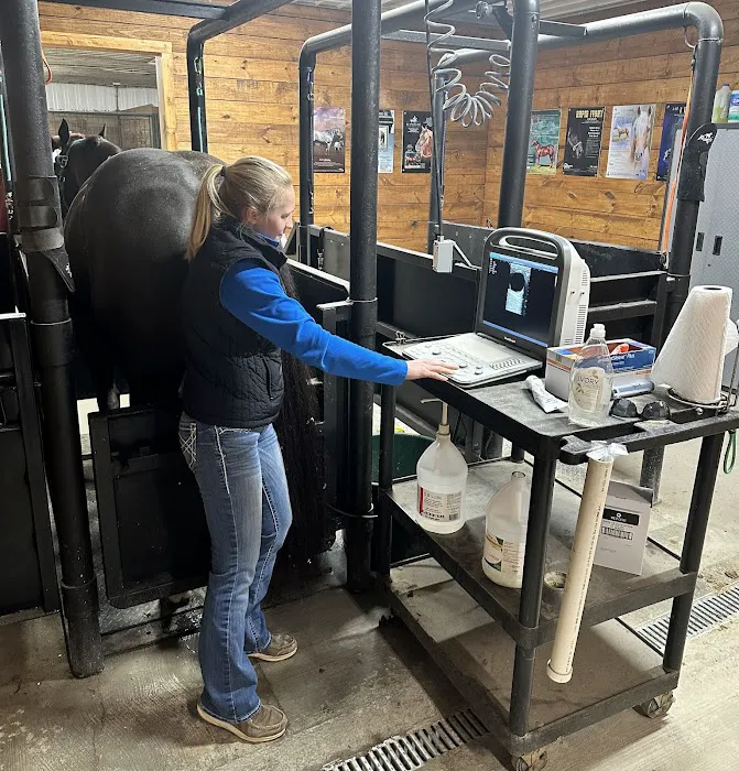 Abraham's Equine Reproduction Center Picture 3