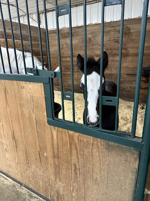Abraham's Equine Reproduction Center Picture 6