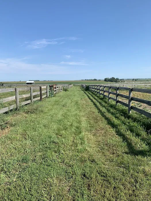 Abraham's Equine Reproduction Center Picture 7