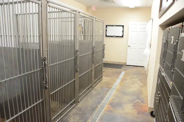 Heartland Animal Hospital Marion Picture 7