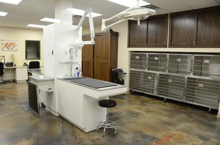 Heartland Animal Hospital Marion Picture 8