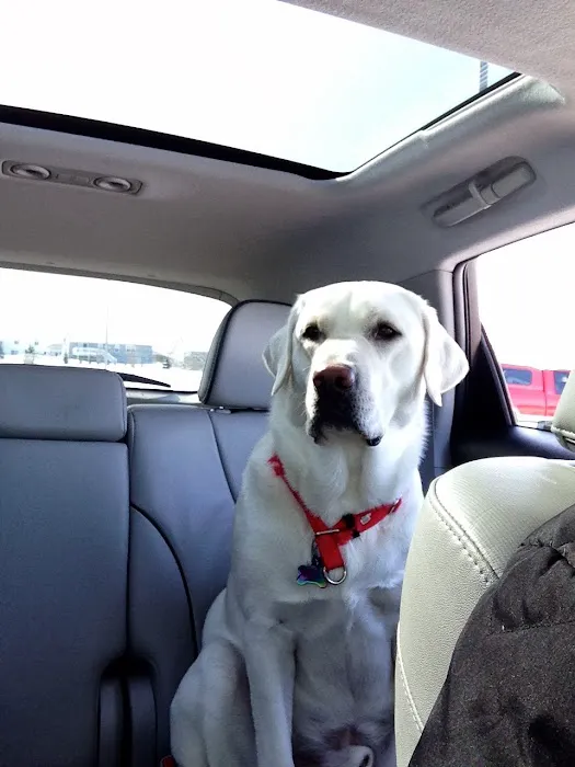 Ross Veterinary Clinic Picture 1