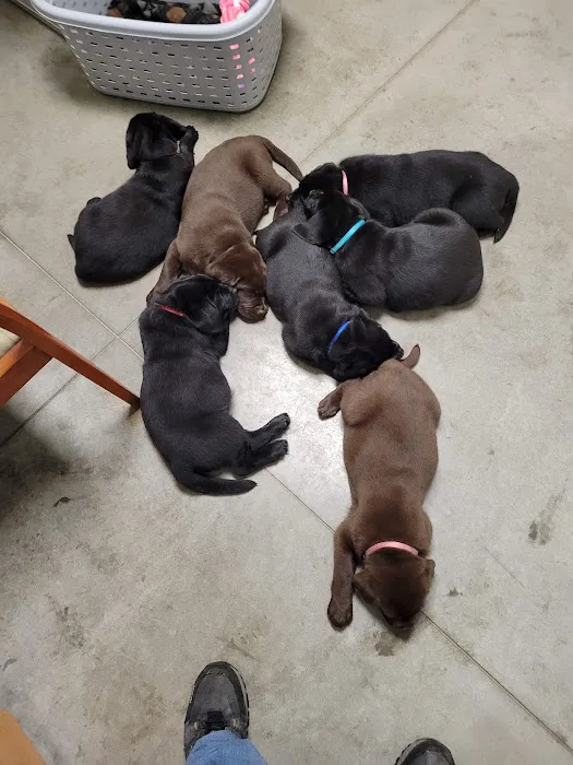 Ross Veterinary Clinic Picture 4