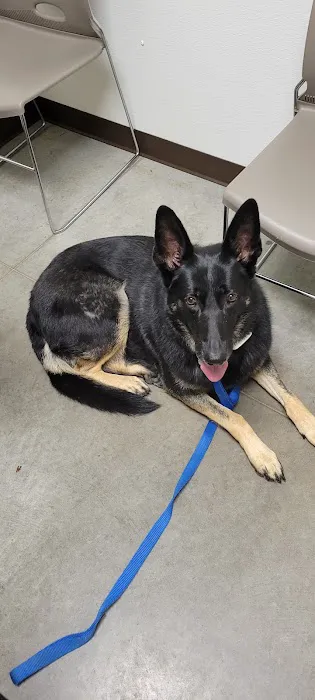 Ross Veterinary Clinic Picture 7