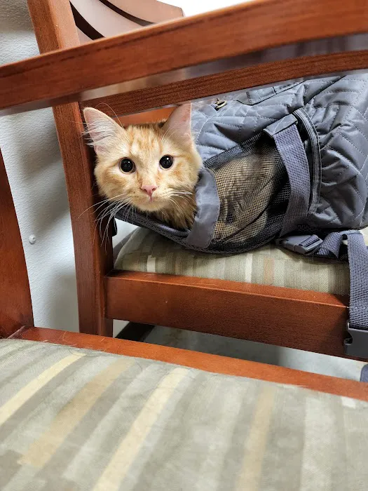 Ross Veterinary Clinic Picture 10