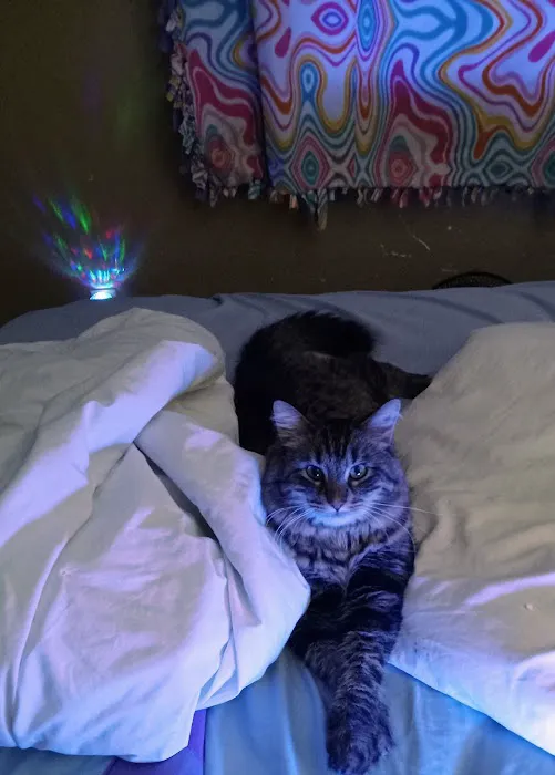 Weber Marty DVM Picture 1