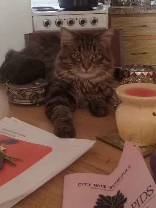 Weber Marty DVM Picture 2