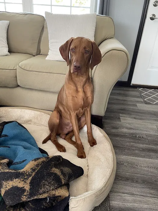 Cedar Rapids Animal Hospital Picture 3