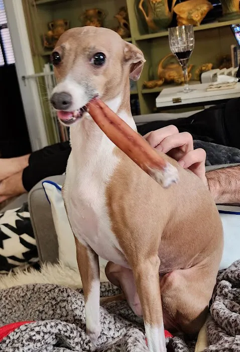 Cedar Rapids Animal Hospital Picture 5