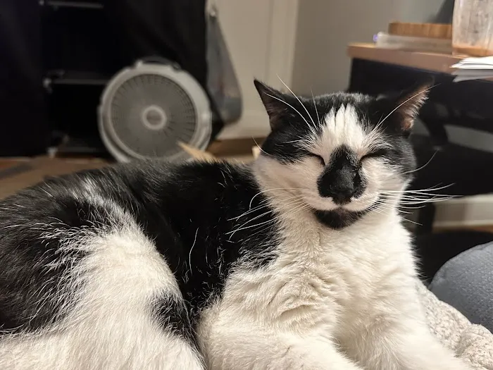 Cedar Rapids Animal Hospital Picture 8