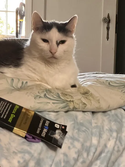 Cedar Rapids Animal Hospital Picture 7