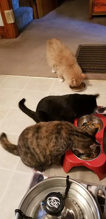 Linn Animal Hospital South Picture 3