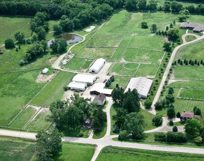 Abraham's Equine Clinic Picture 8