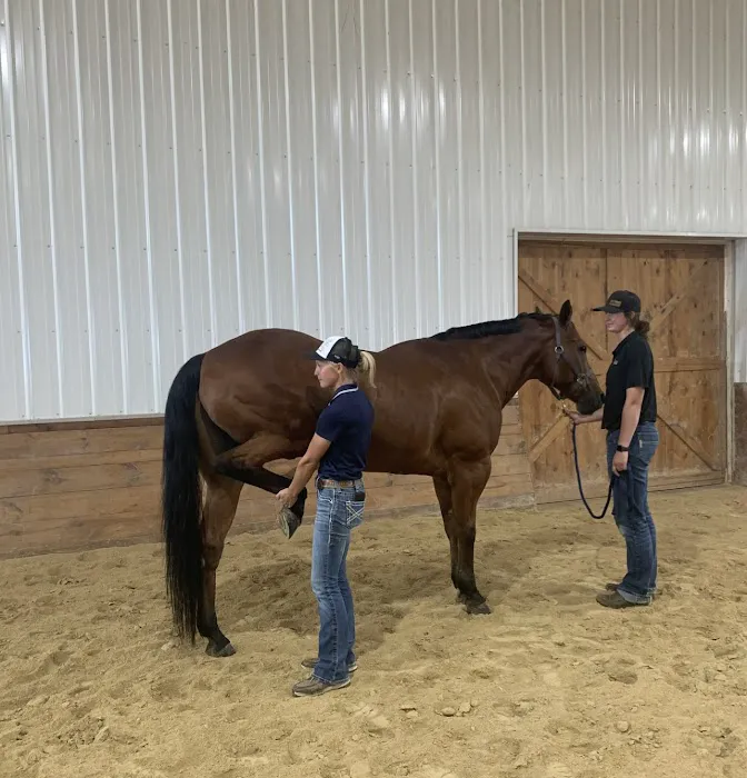 Abraham's Equine Clinic Picture 10