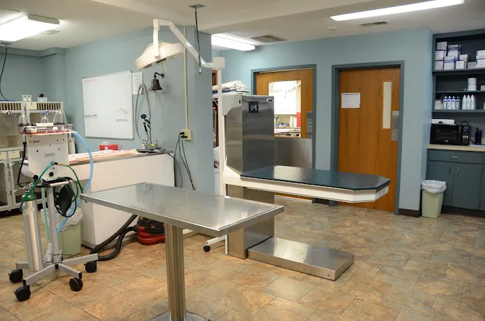 VCA Edgewood Animal Hospital Picture 2