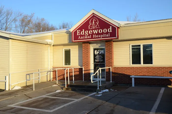 VCA Edgewood Animal Hospital Picture 7