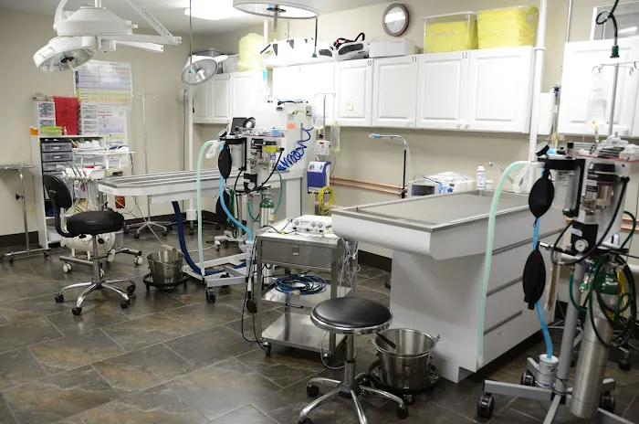 VCA Edgewood Animal Hospital Picture 5