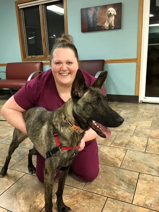 VCA Edgewood Animal Hospital Picture 9