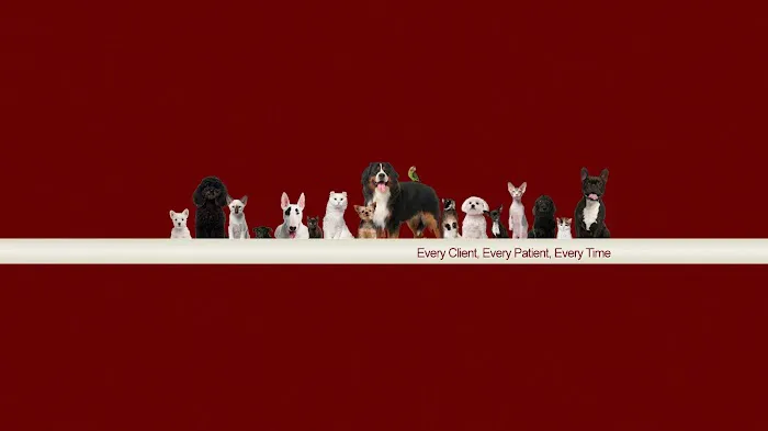 VCA Edgewood Animal Hospital Picture 8