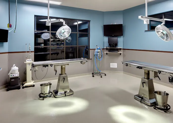 Frey Pet Hospital Picture 6