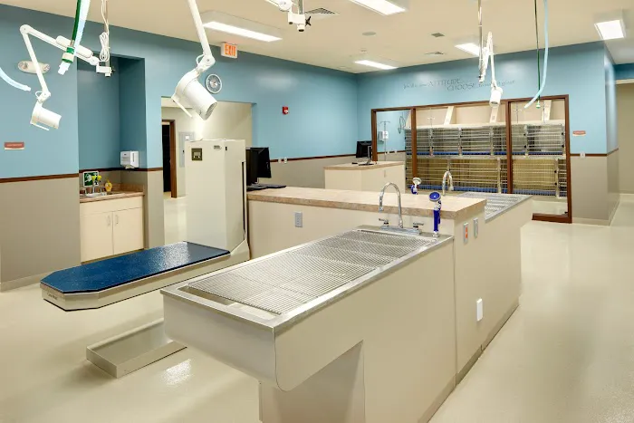 Frey Pet Hospital Picture 8