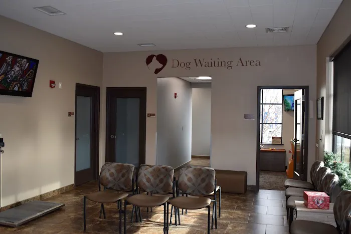 Frey Pet Hospital Picture 5