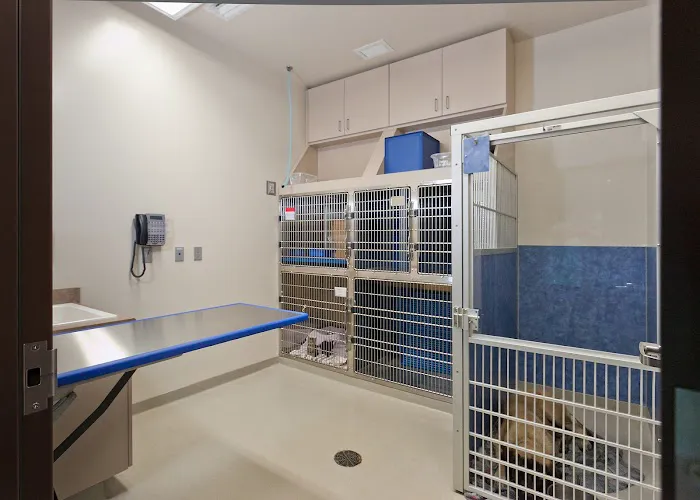 Frey Pet Hospital Picture 10