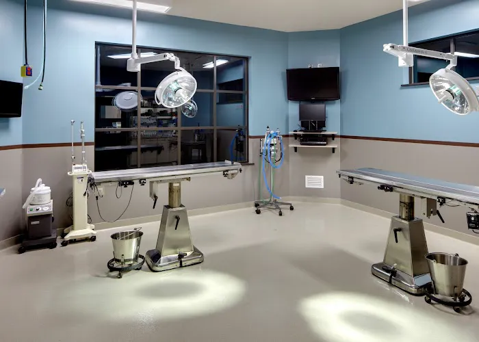 Frey Pet Hospital Picture 9