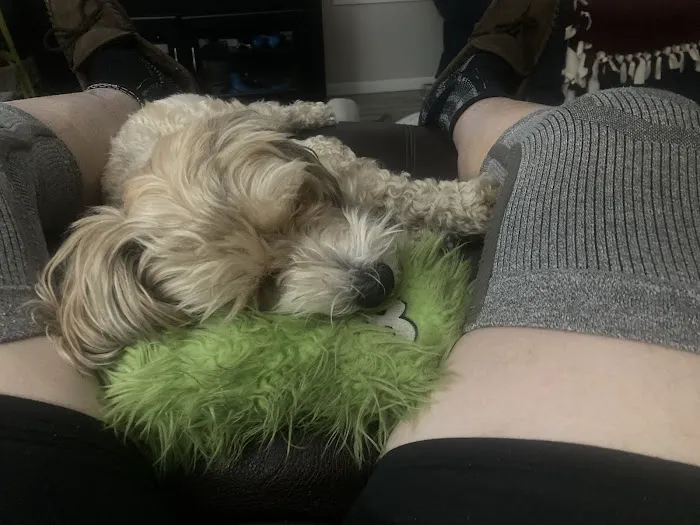 Midland Prairie Veterinary Services Picture 2