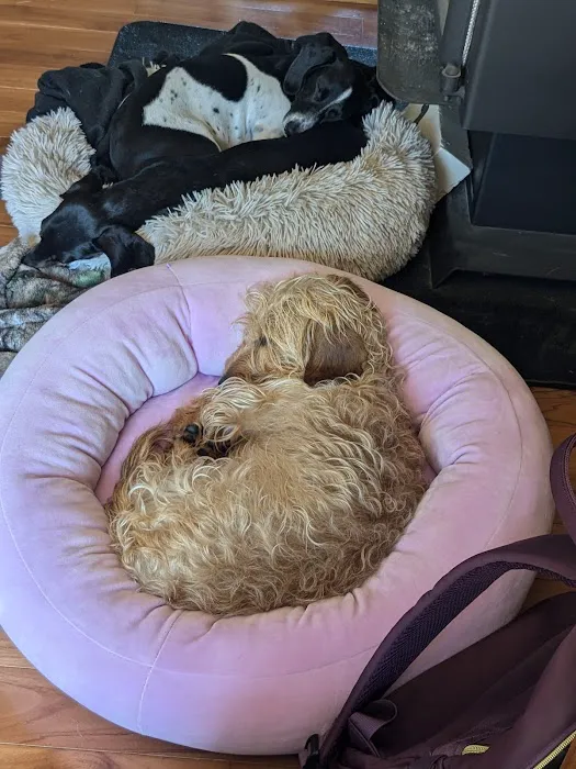 Midland Prairie Veterinary Services Picture 1